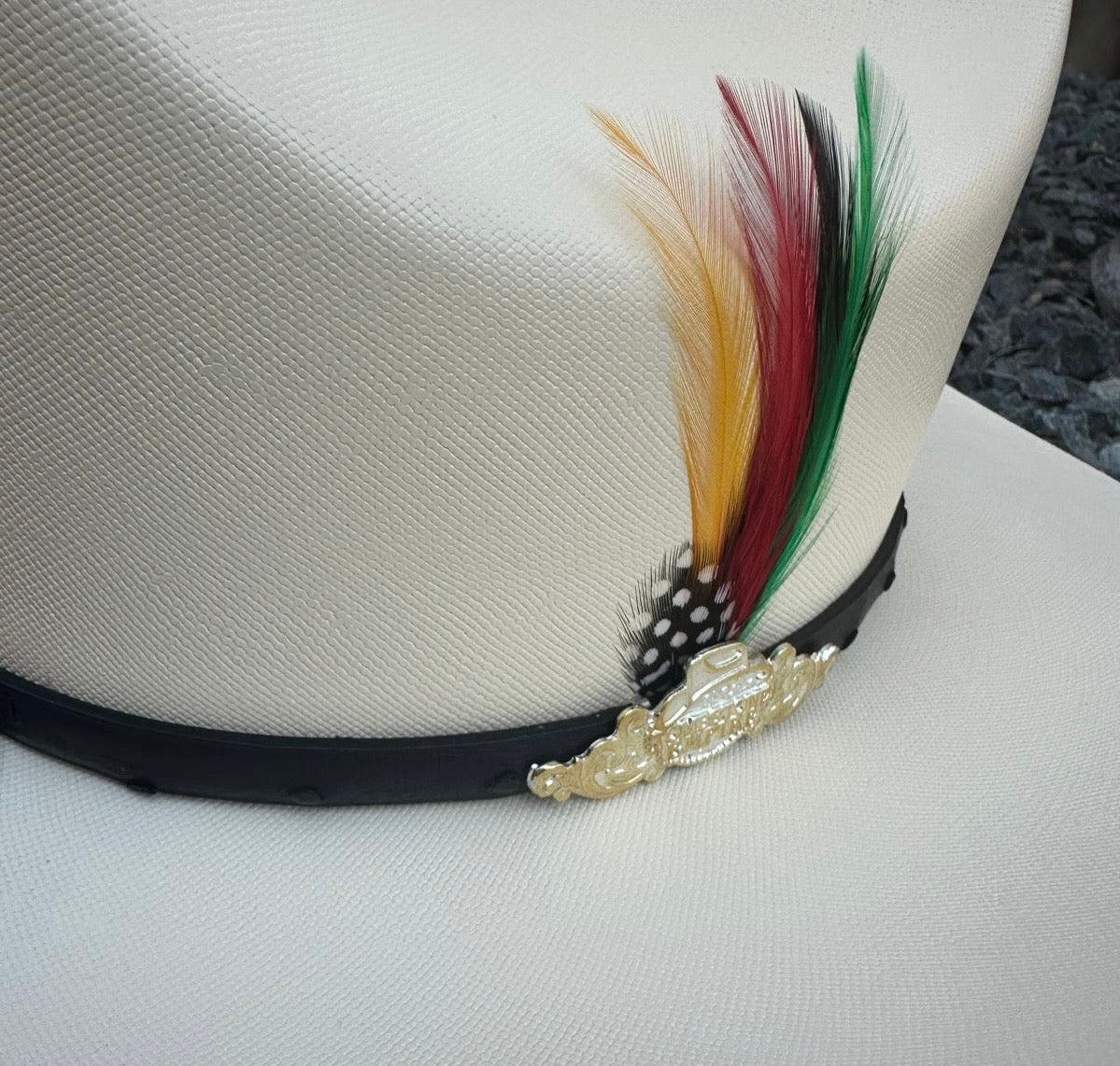 Sombrero Tombstone 10,000x Master Chaparral/Estilo Sinaloa (Hat Carrier Included)