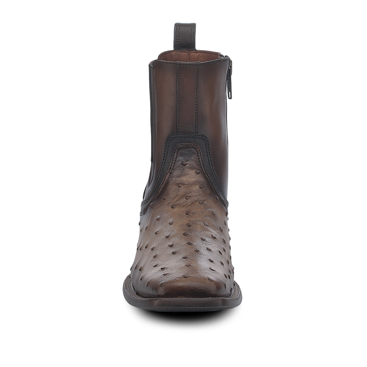 Cuadra Men's Ostrich Zipper & Elastic Square Toe CU889 - Lugano Cafe