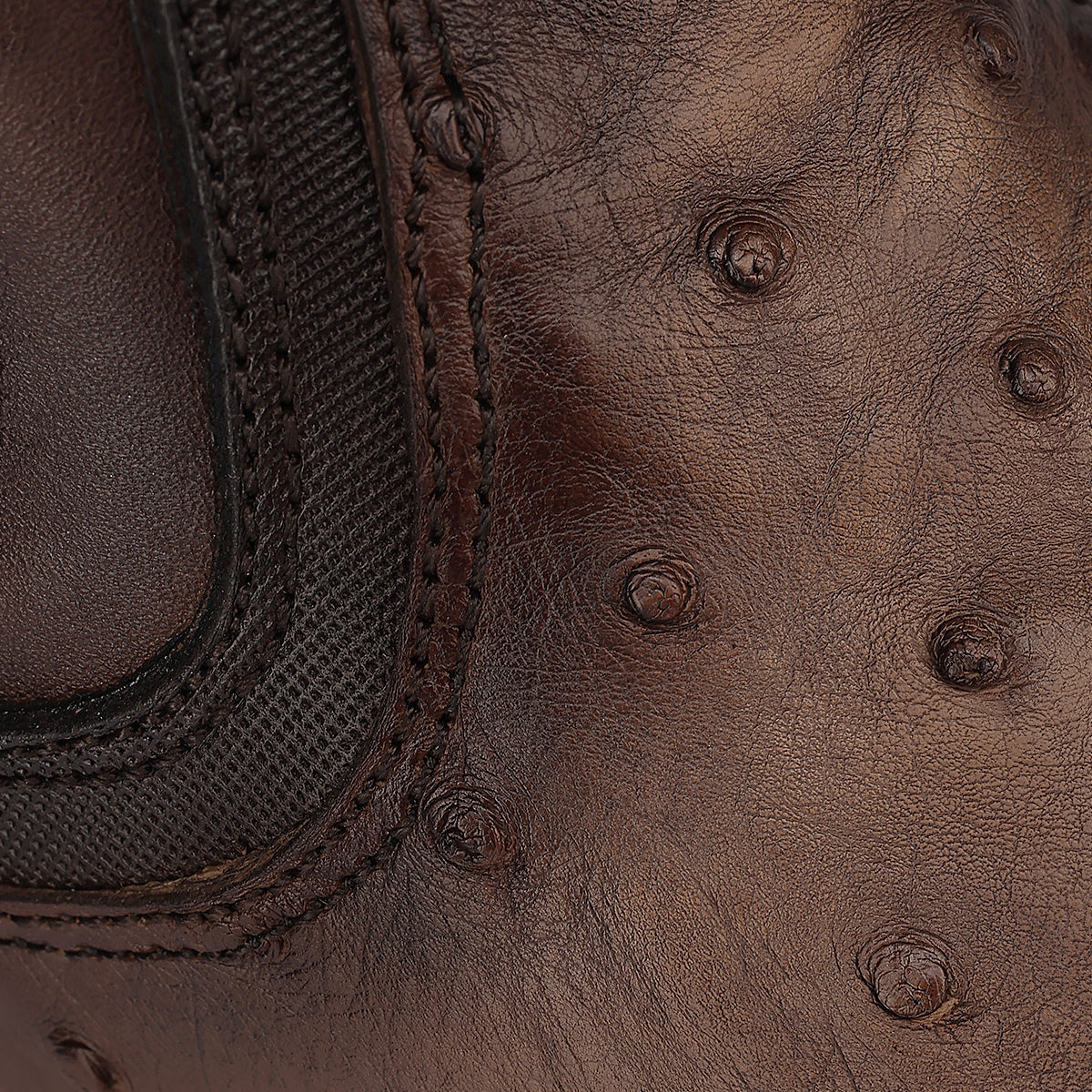 Cuadra Men's Ostrich Zipper & Elastic Square Toe CU889 - Lugano Cafe