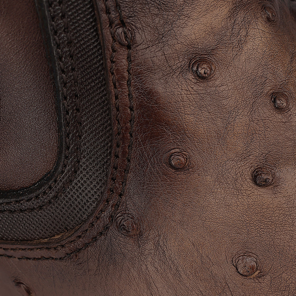 Cuadra Men's Ostrich Zipper & Elastic Square Toe CU889 - Lugano Cafe