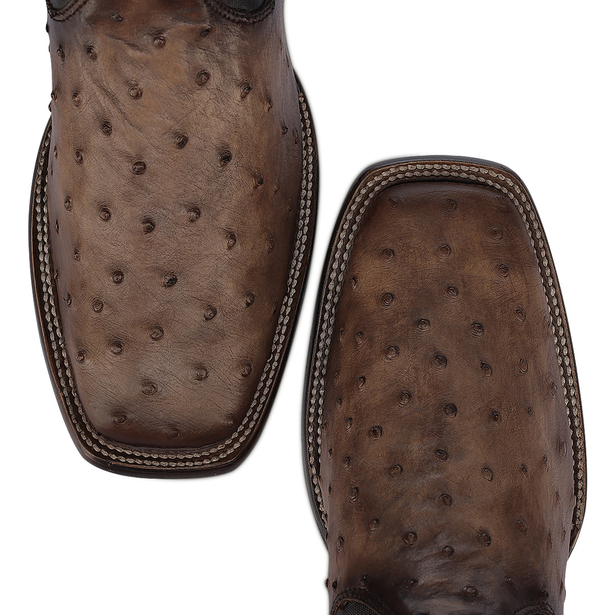 Cuadra Men's Ostrich Zipper & Elastic Square Toe CU889 - Lugano Cafe