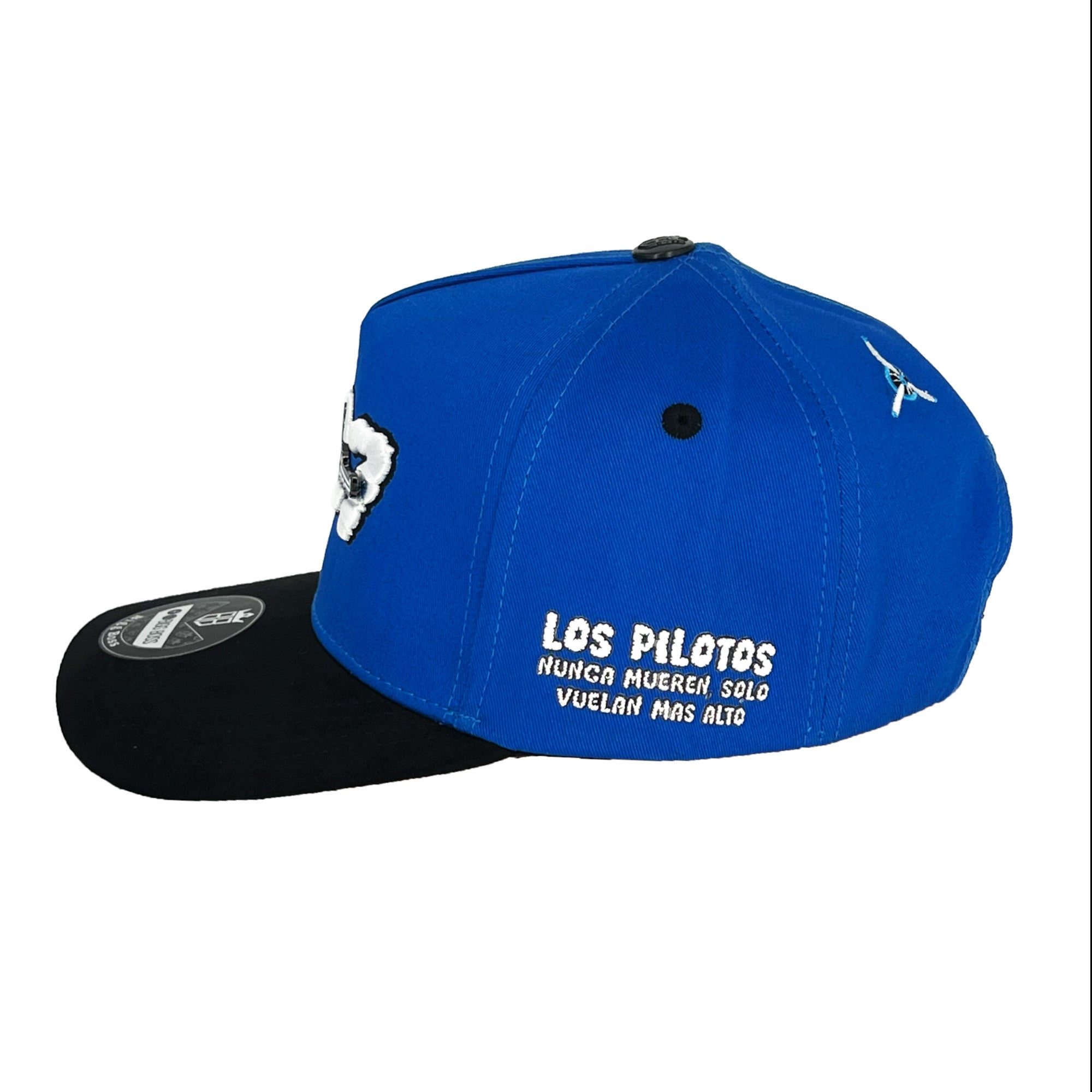Bigg Boss 727 Avioneta Blue Cap BB23