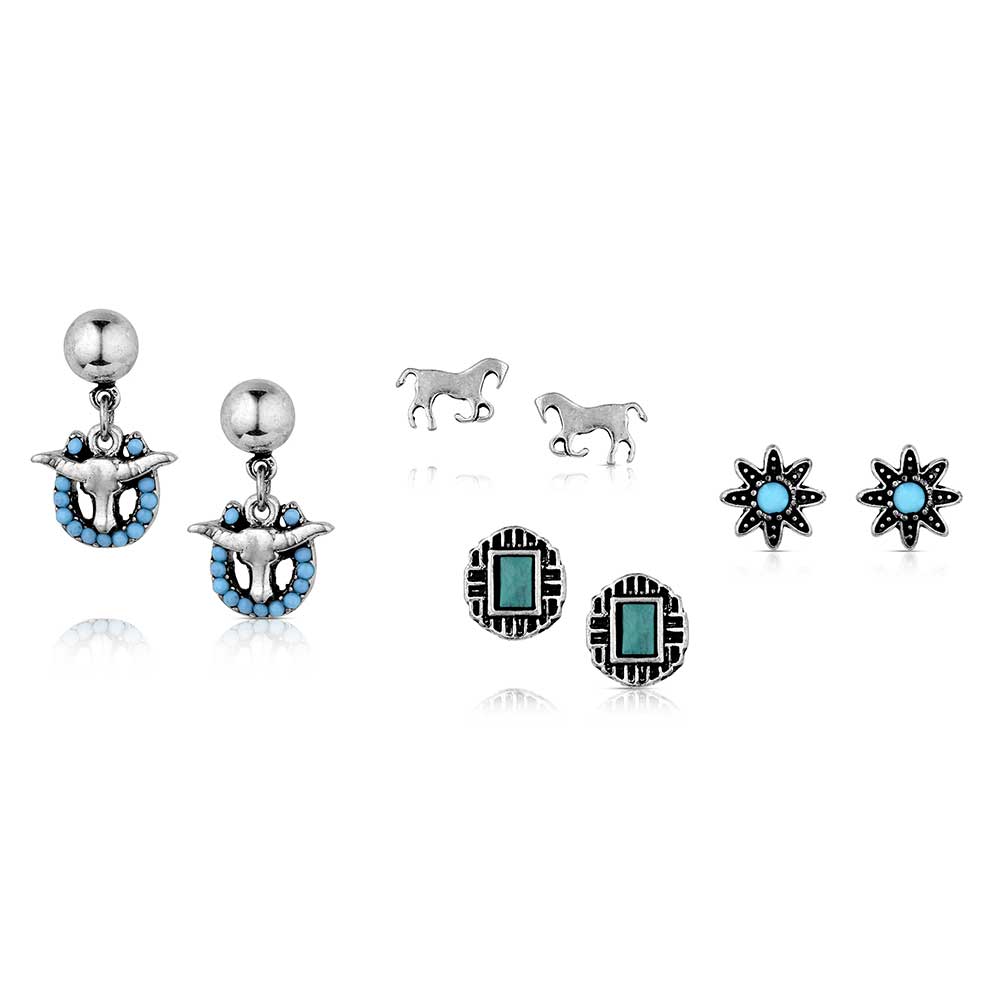 Montana Everyday Western Post Earring Set AER6243