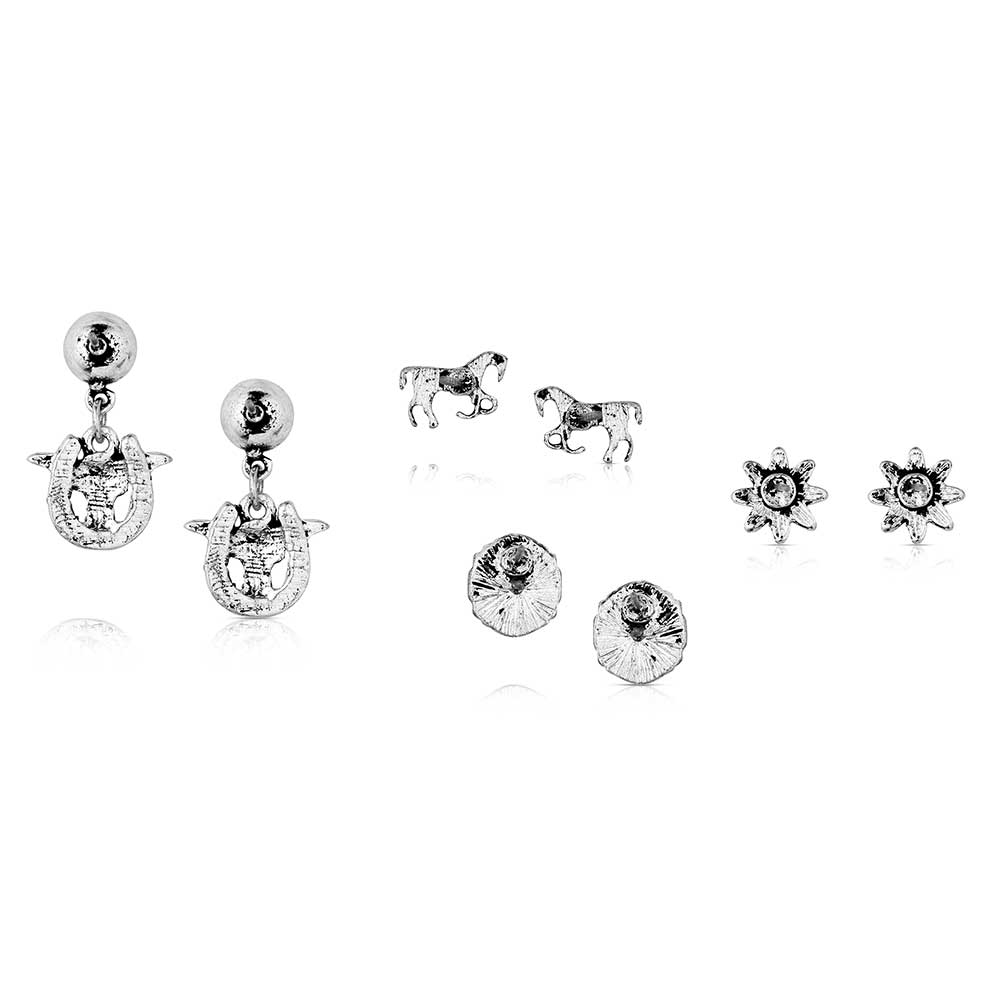 Montana Everyday Western Post Earring Set AER6243