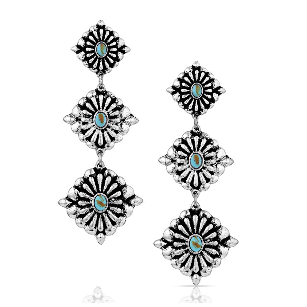 Montana Ready For The Show Dangle Earrings AER6257