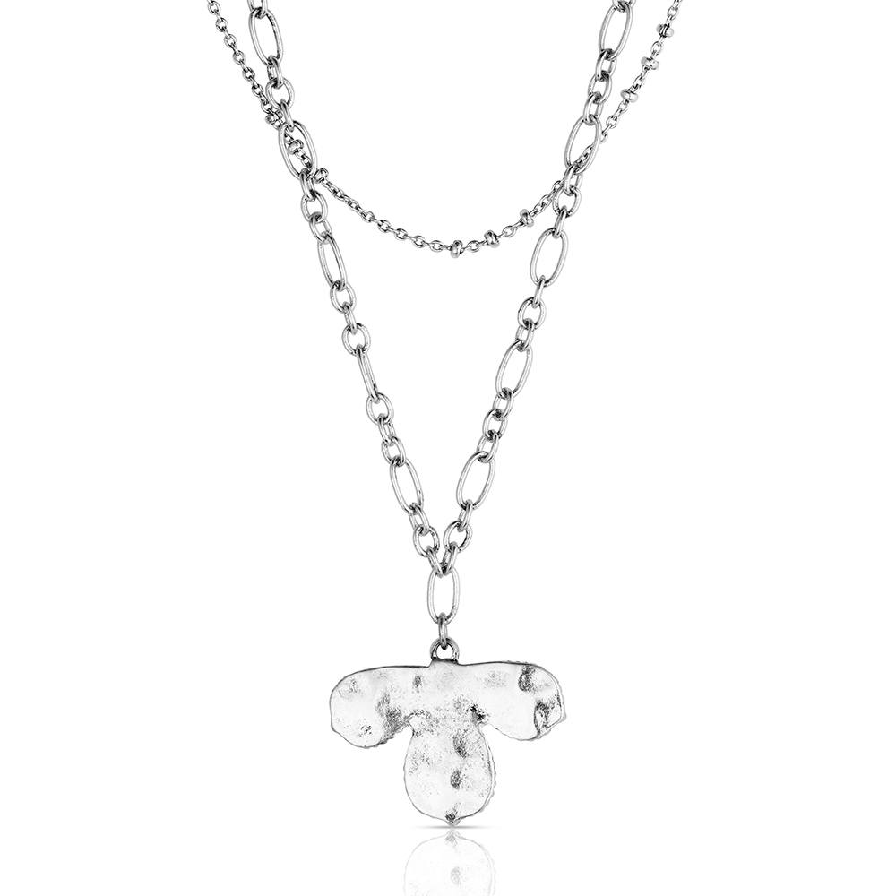 Montana Prairie Moon Layered Necklace ANC6566