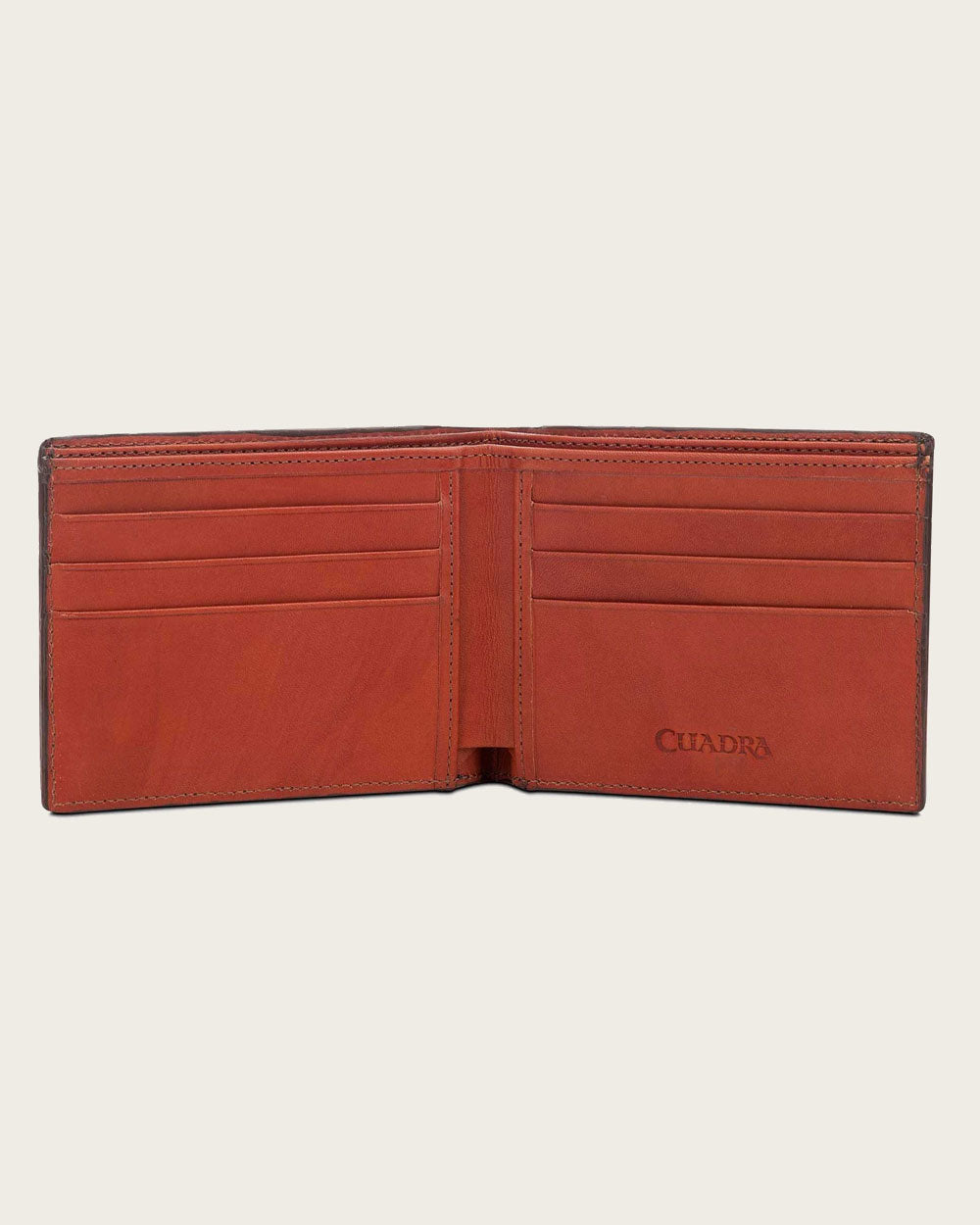 Cuadra Men's Brown Deer Wallet DU328