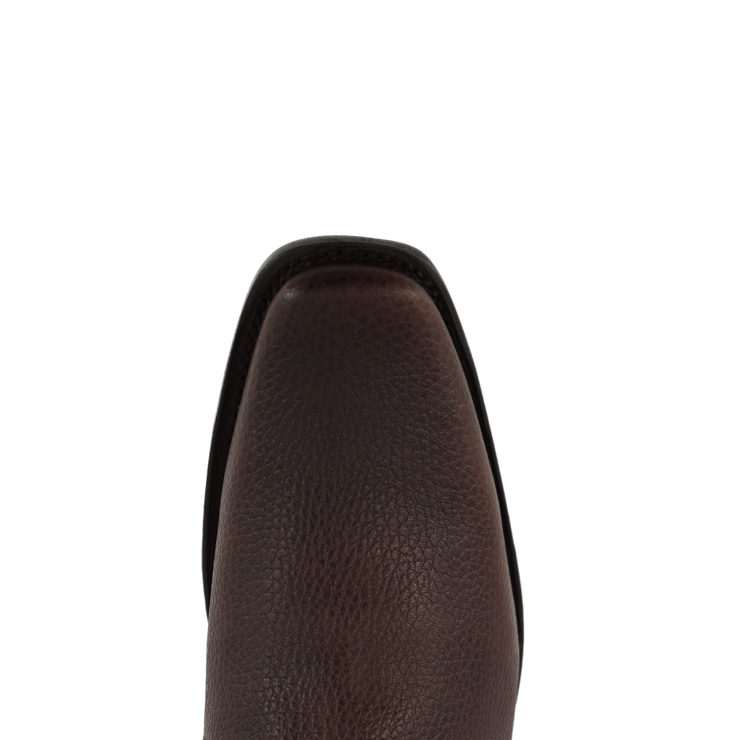 El Canelo Botin Sonora - Cassion Choco