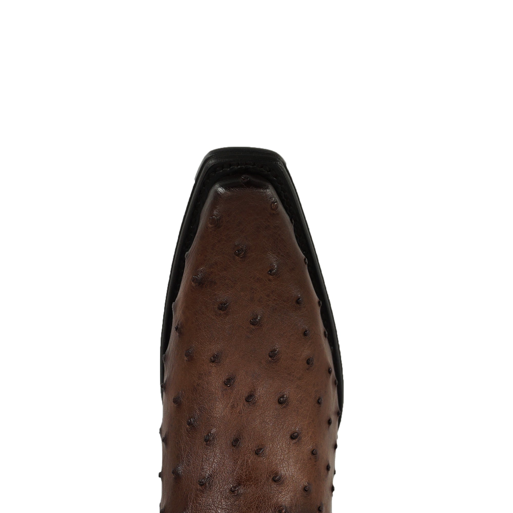 Cuadra Men's Ostrich Narrow Square Toe CU597 - Choco
