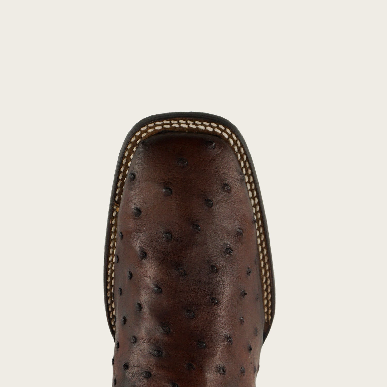 Cuadra Men's Ostrich Zipper & Elastic Square Toe CU888 - Moroni Castano