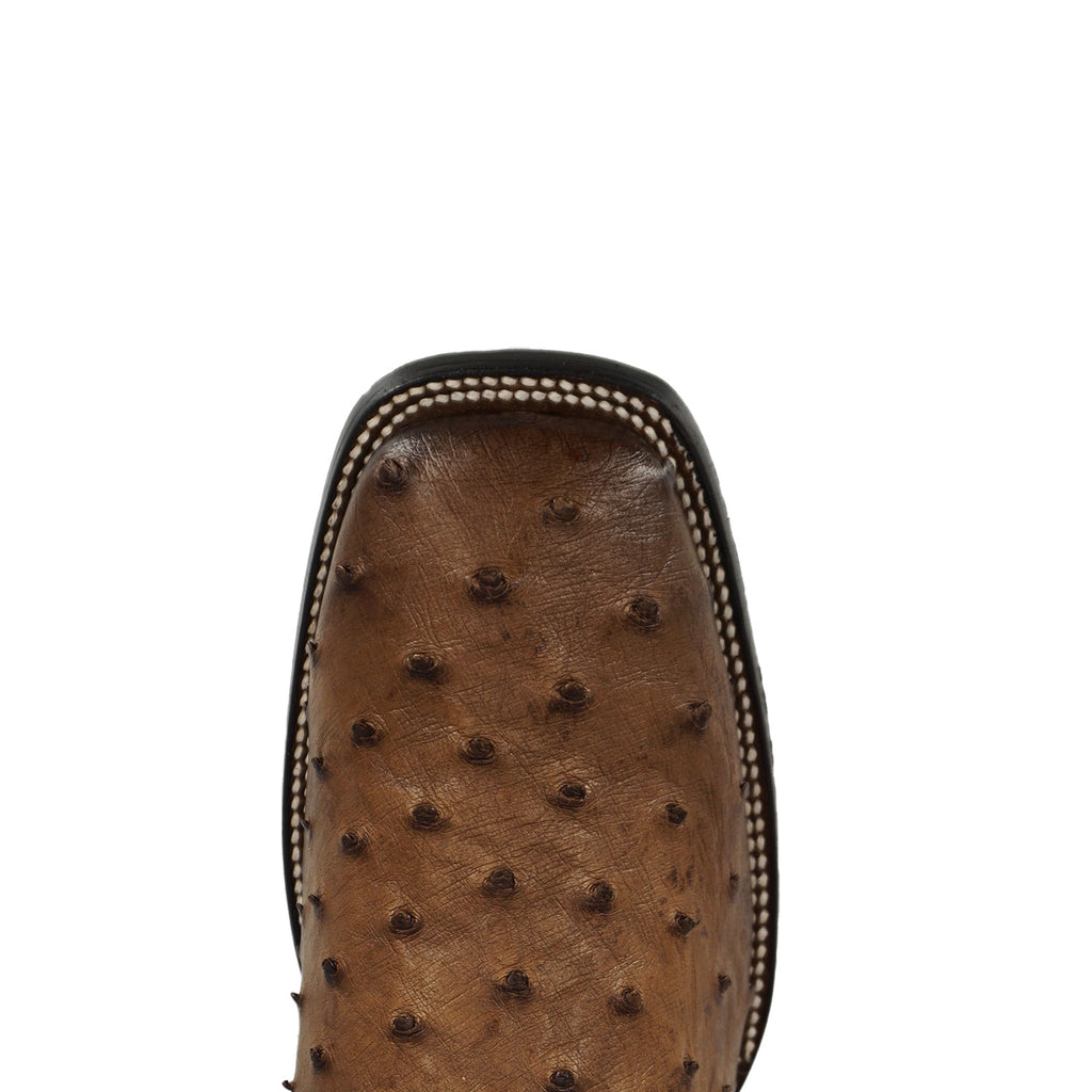 Cuadra Men's Ostrich Zipper & Elastic Square Toe CU889 - Lugano Cafe