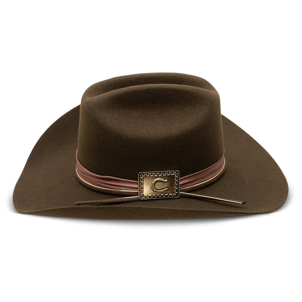 Charlie Horse Songbird Wool Hat - Chocolate