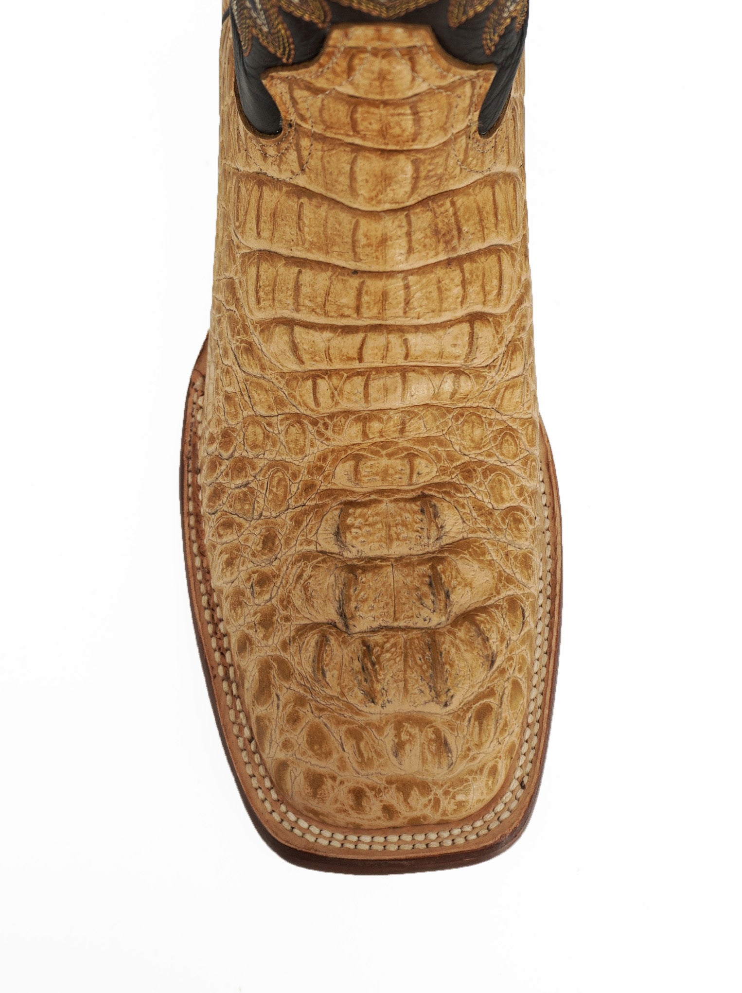 Tanner Mark Caiman Hornback Print Boot TM205535 - Matte Orix