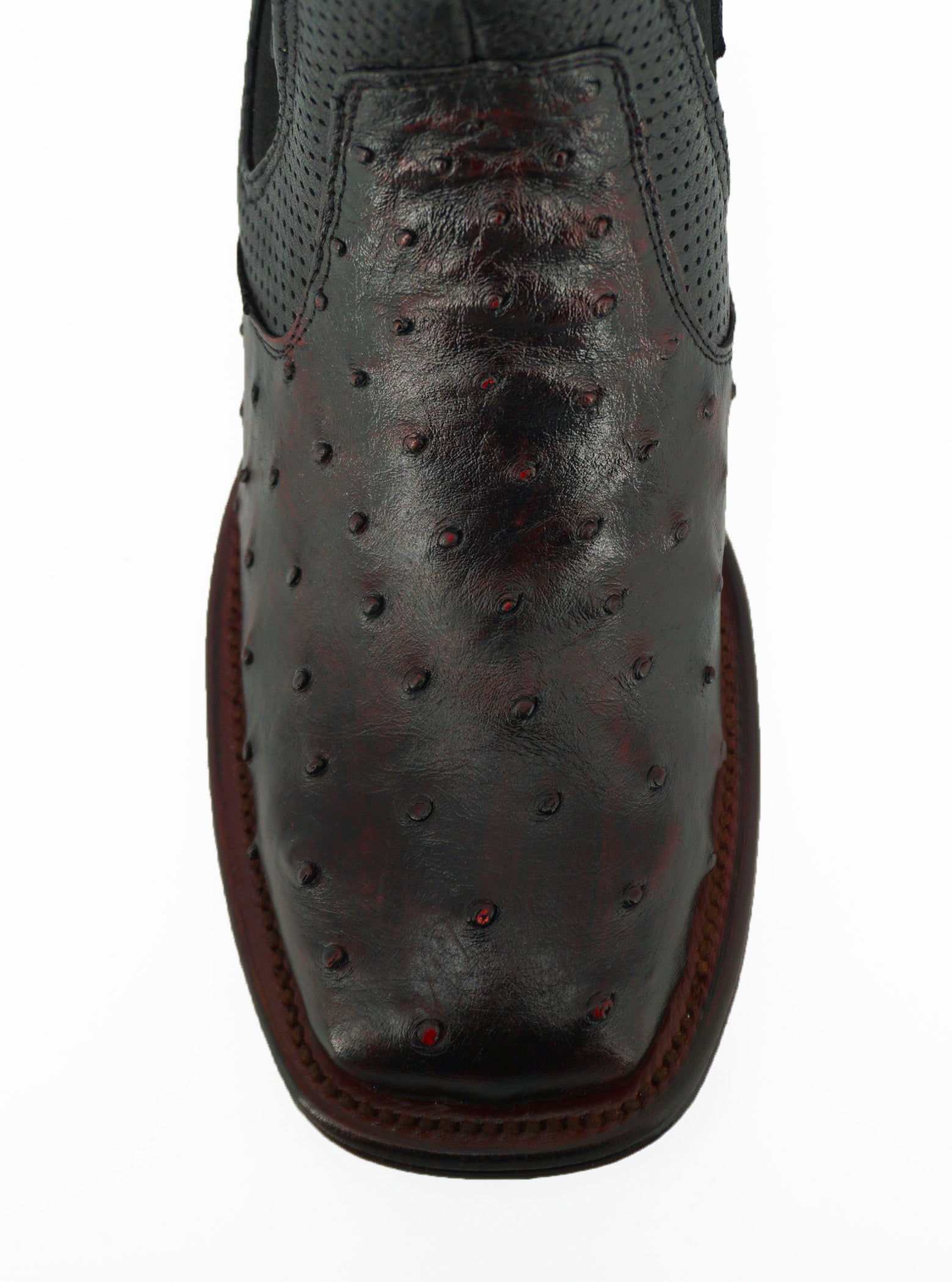 Vestigium Short Boot Ostrich 82B0318 - Blackcherry