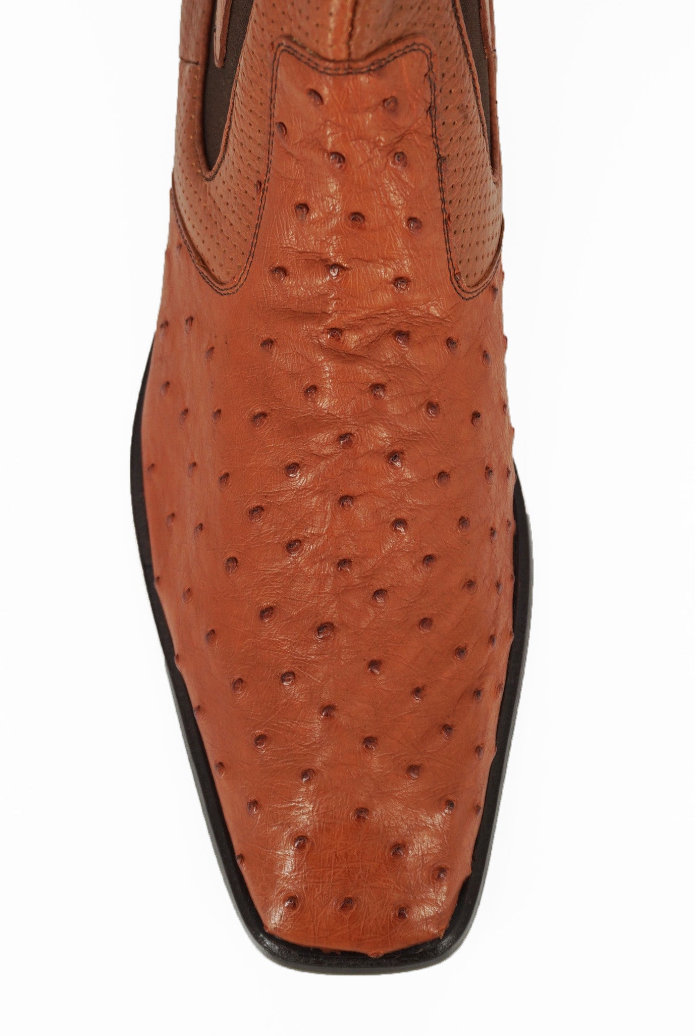 Vestigium Chelsea Boot Ostrich BV010303 - Cognac