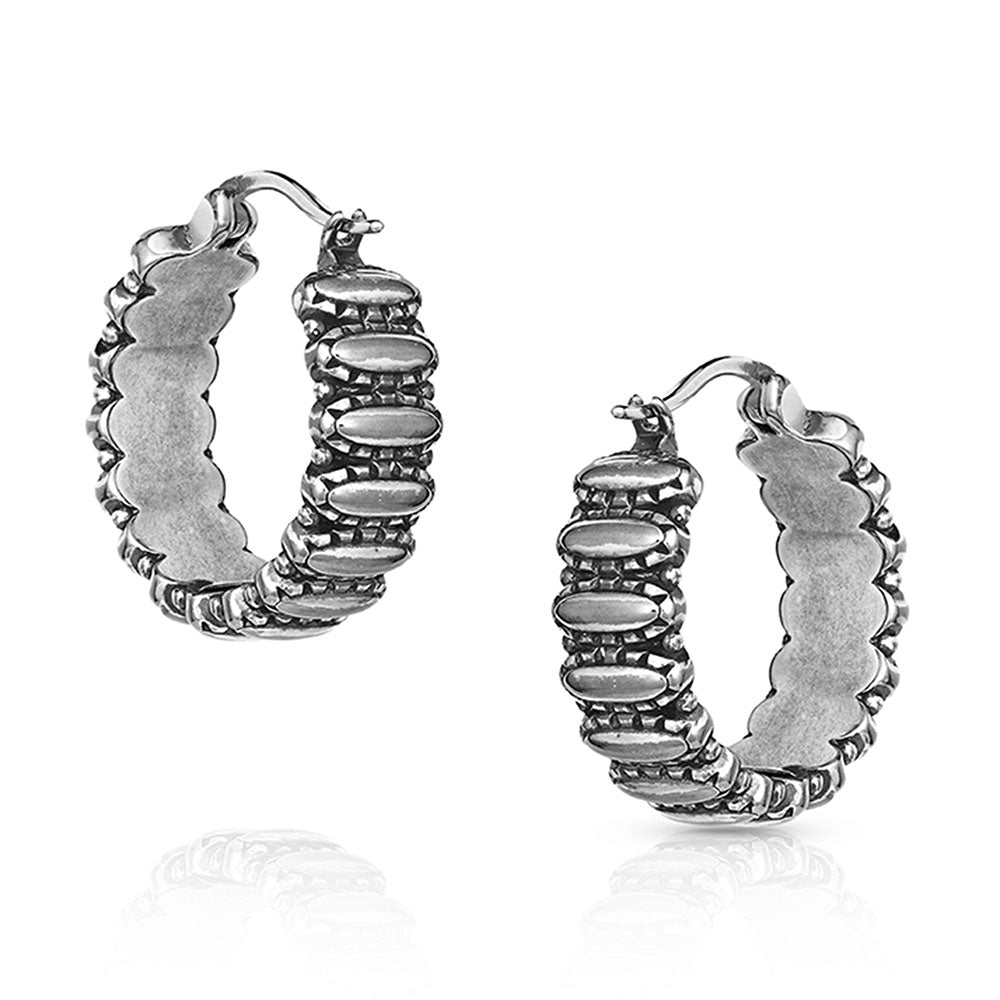 Montana Turquoise Run Earrings ER4772