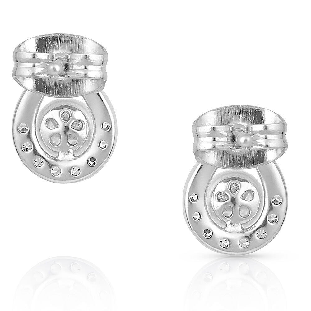 Montana Cradled Sparkle Stud Earrings ER4893