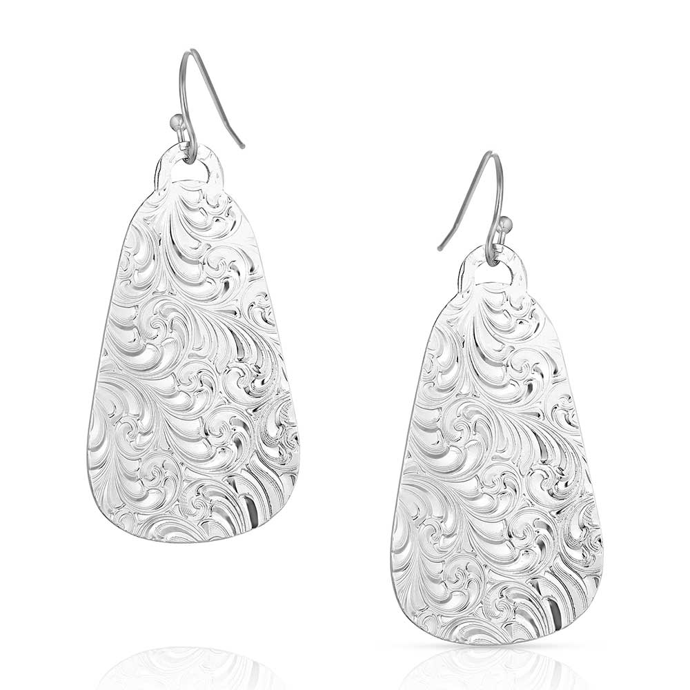 Montana Beauty Within Earrings ER5678