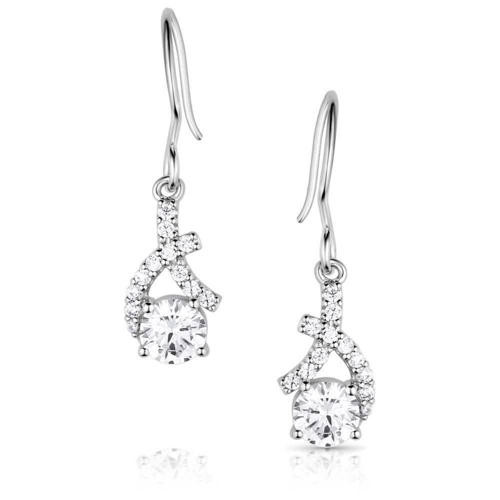 Montana Hugs & Kisses Crystal Earrings ER5960