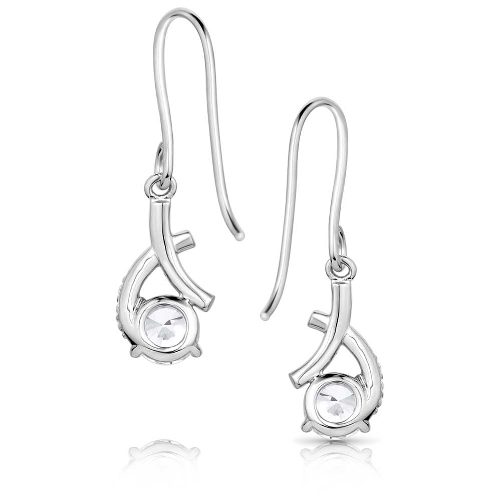 Montana Hugs & Kisses Crystal Earrings ER5960