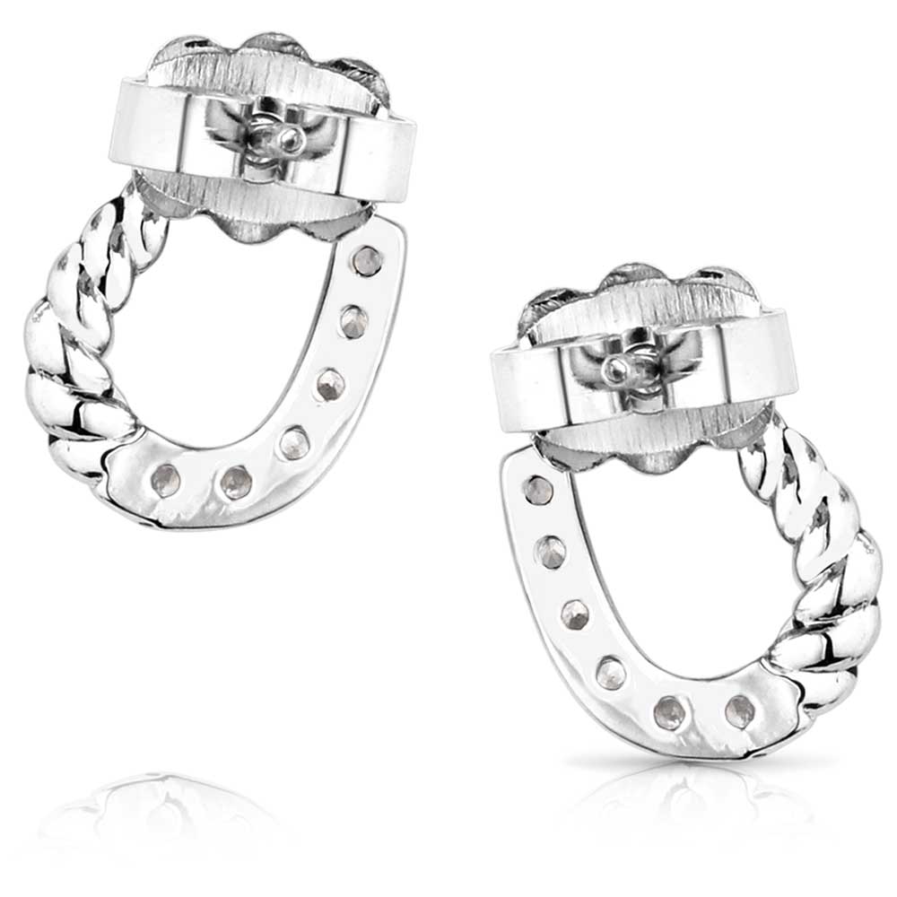 Montana Frosted Luck Crystal Earrings ER5967