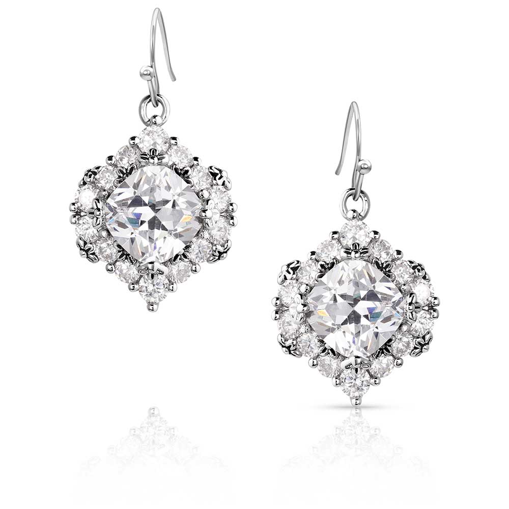 Montana Refined Light Crystal Earrings ER6037