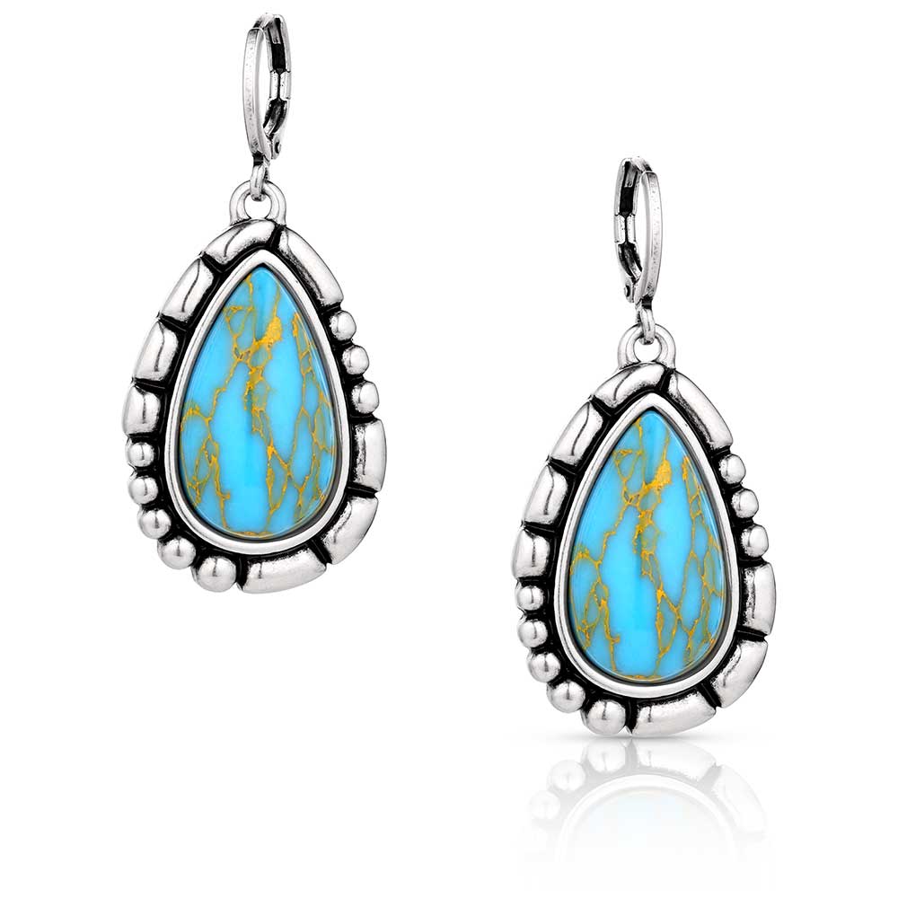 Montana Prickly Pear Turquoise Earrings ER6126