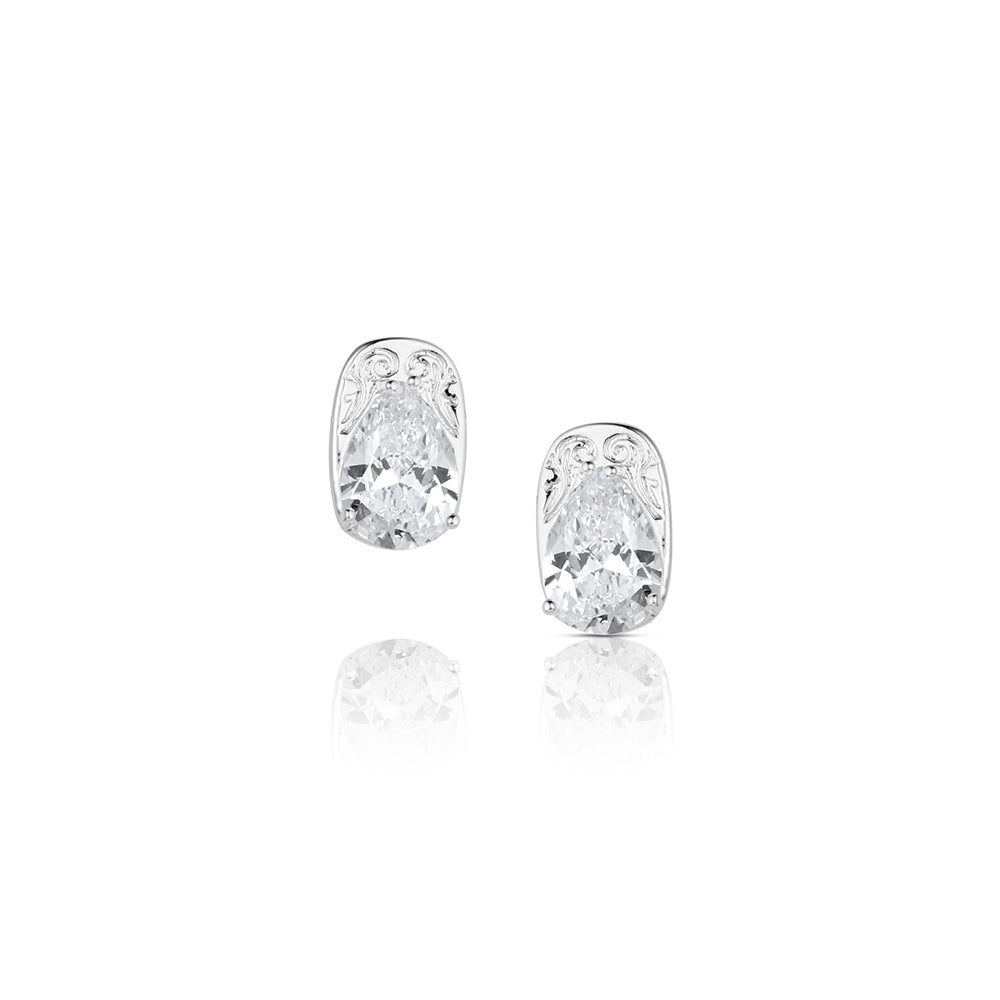 Montana Whispered Horizon Crystal Earrings ER6554