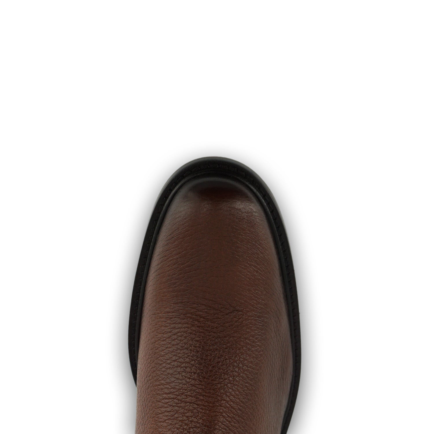 Franco Cuadra Collection Deer FC956 - Honey