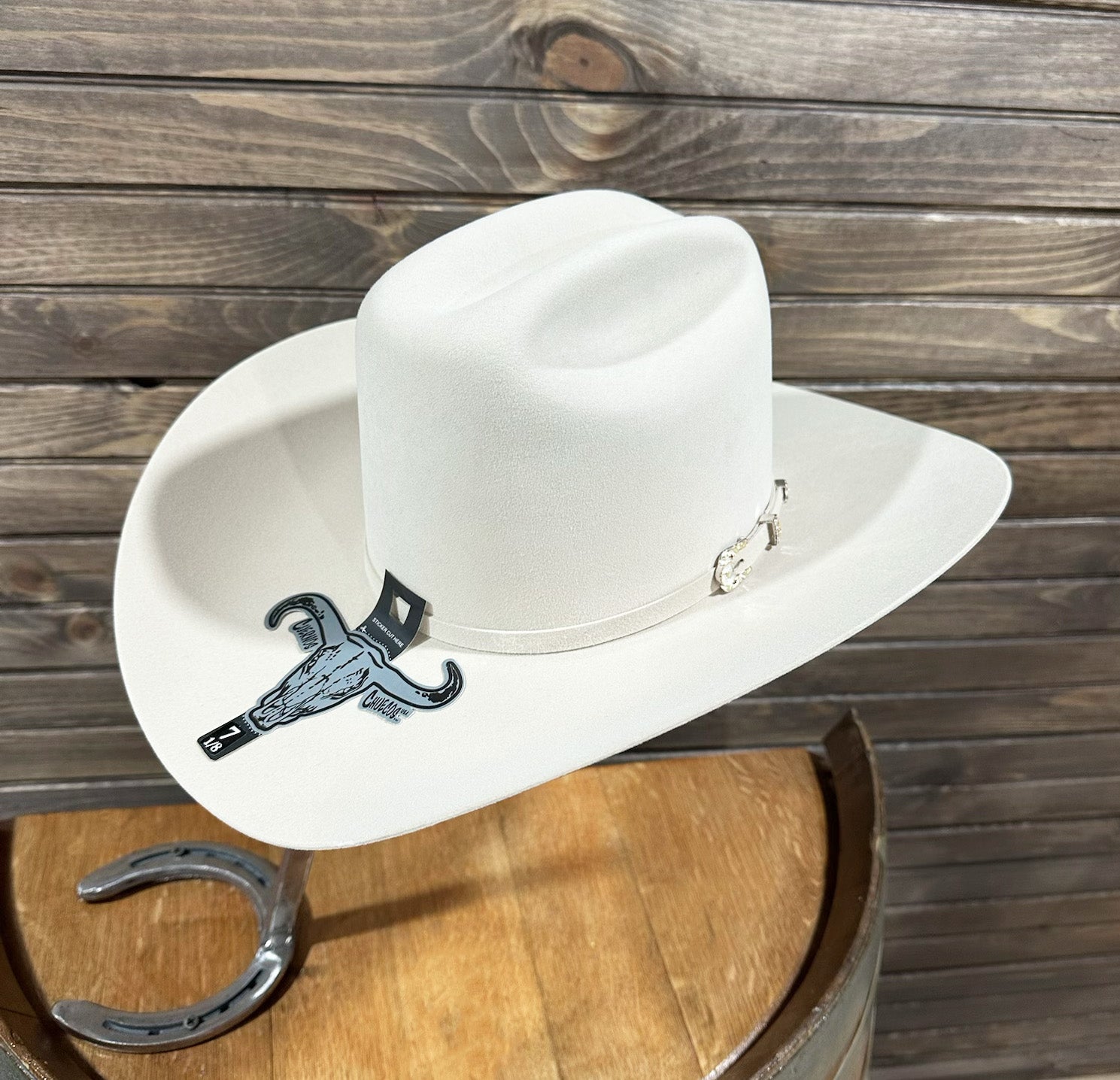 Cuernos Chuecos 1,000x King Ranch Beaver/Mink Fur Hat - Silverbelly