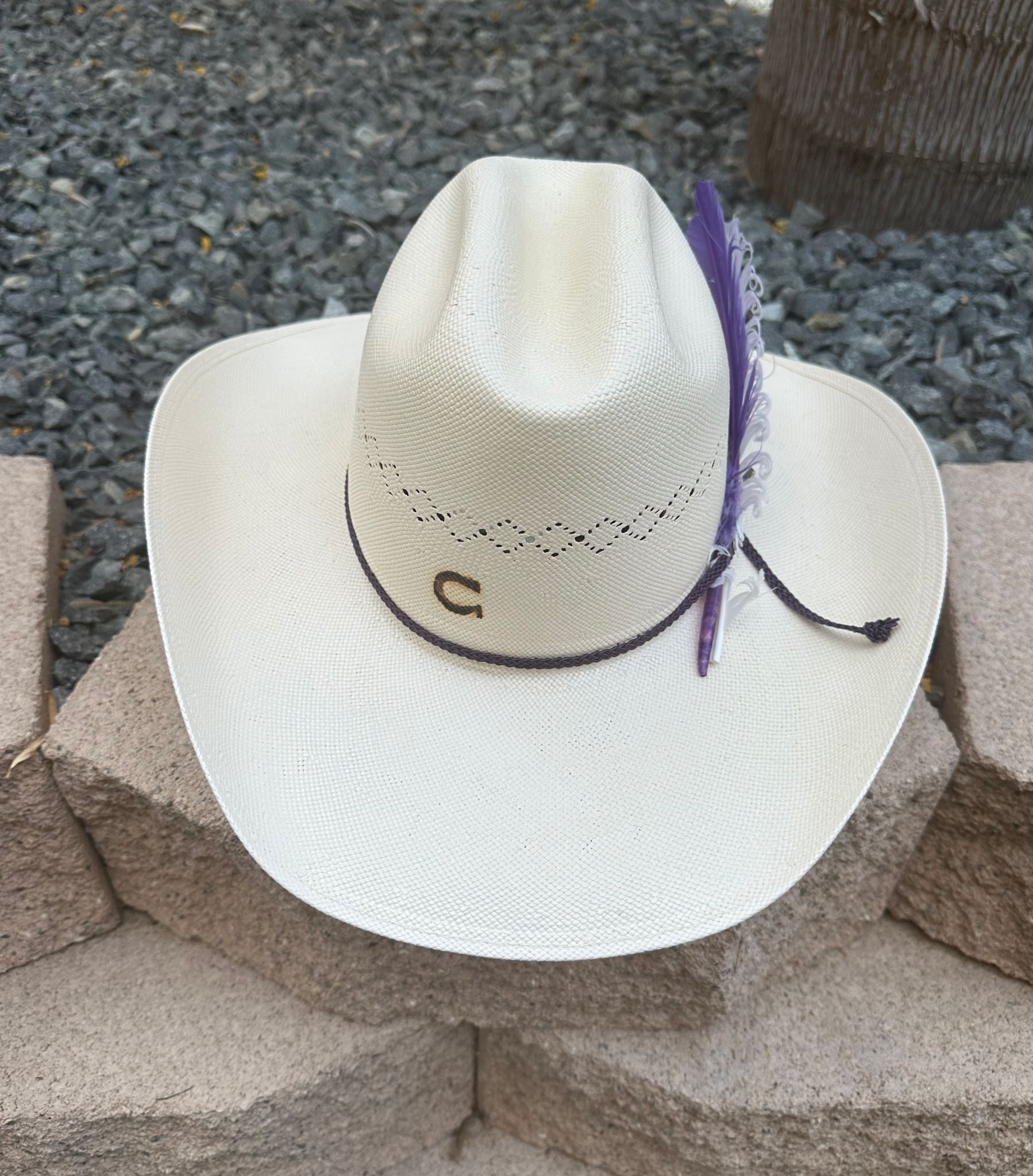 Charlie Horse 10x "Purple Haze" Straw Hat