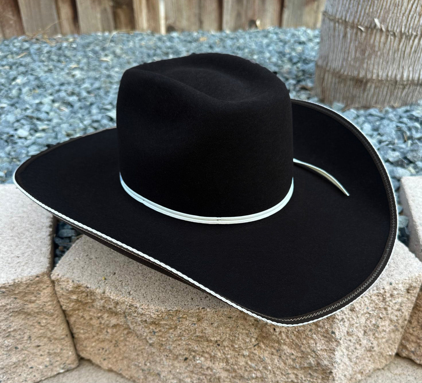 Resistol 4x "Snake Eyes" Felt Hat - Cordova