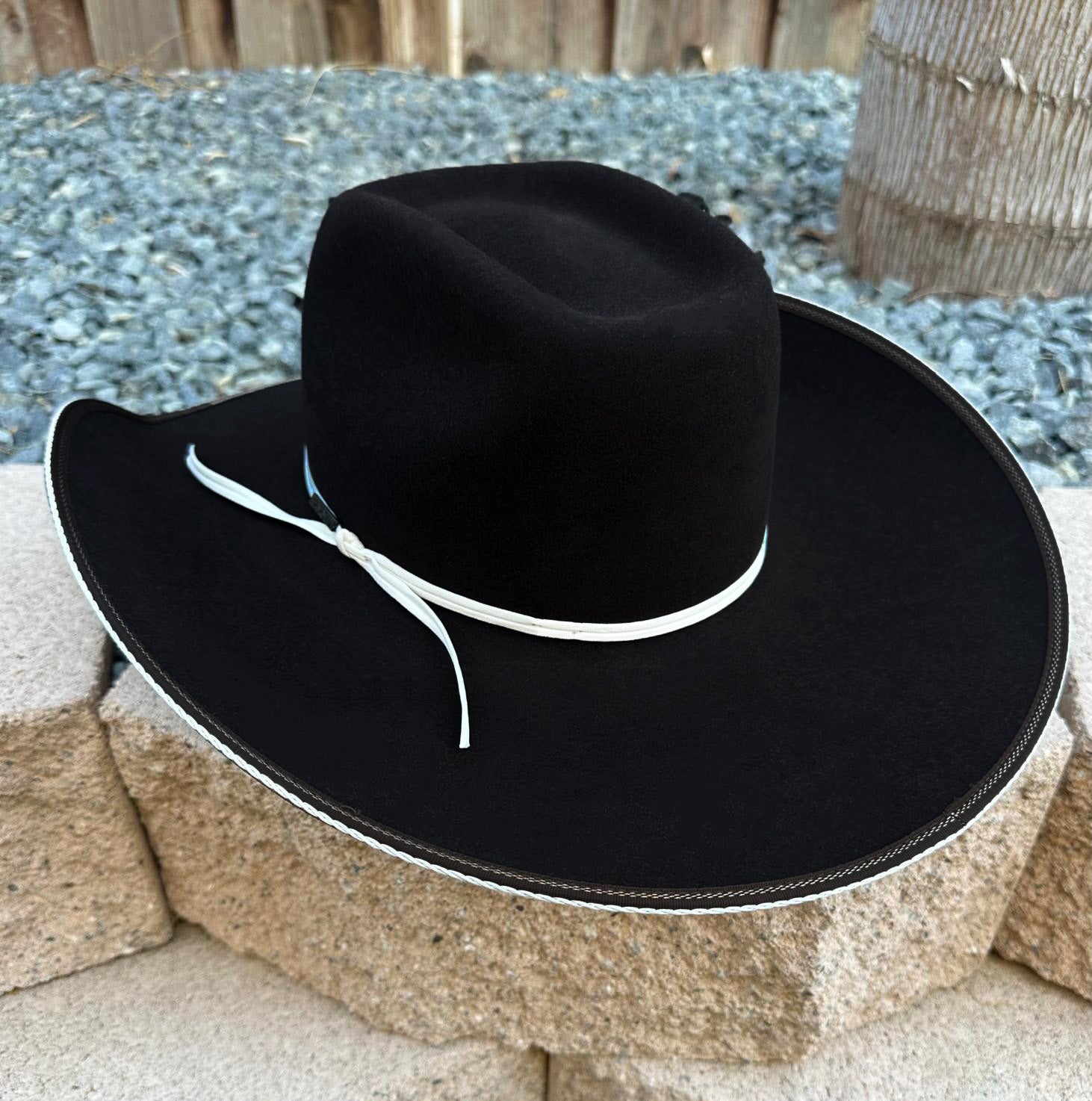 Resistol 4x "Snake Eyes" Felt Hat - Cordova