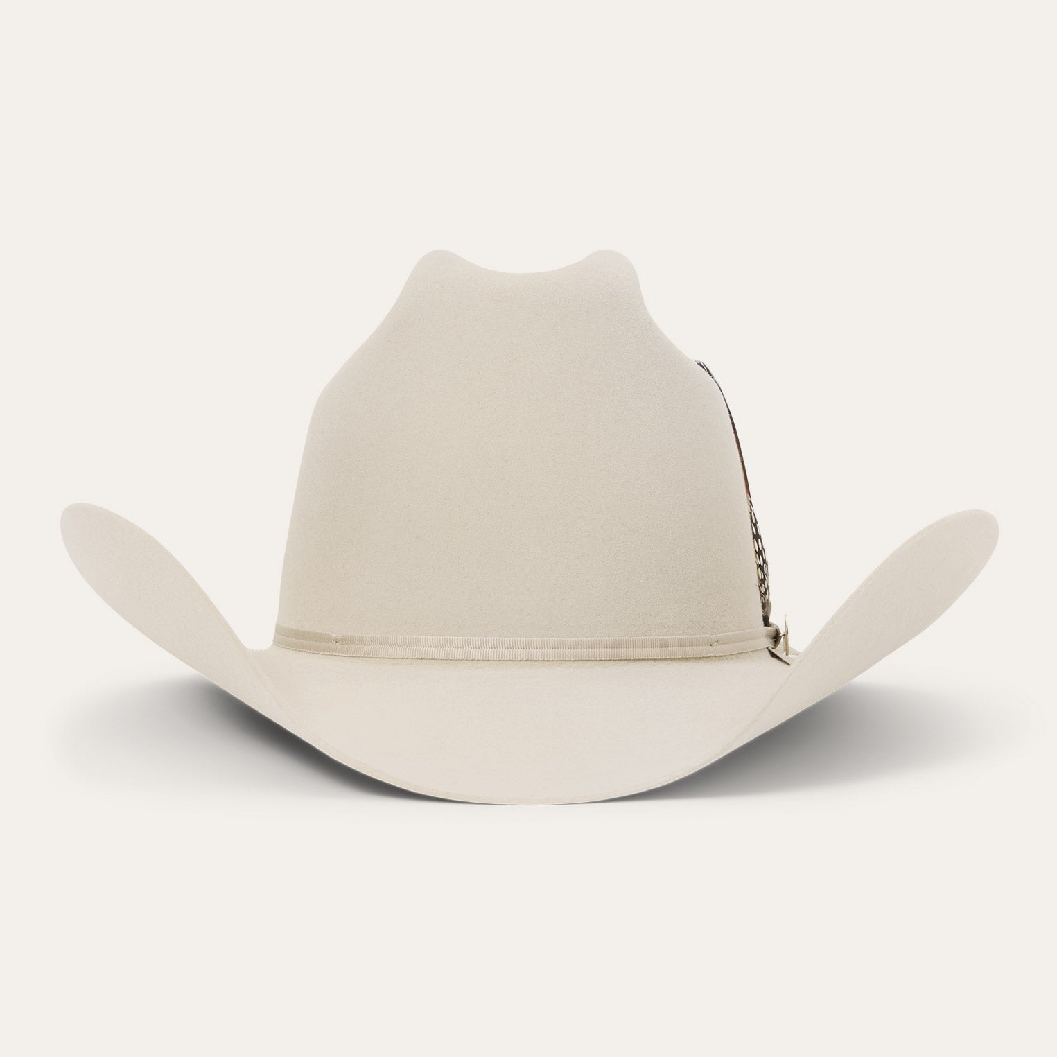 Stetson 6x Rancher 160th Edition Felt Hat - Silverbelly