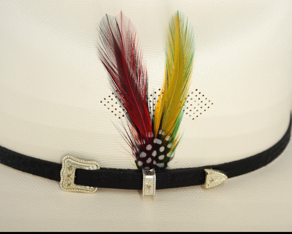 Sombrero Tombstone 1,000x Chaparral Telar Master  3 1/2" Brim