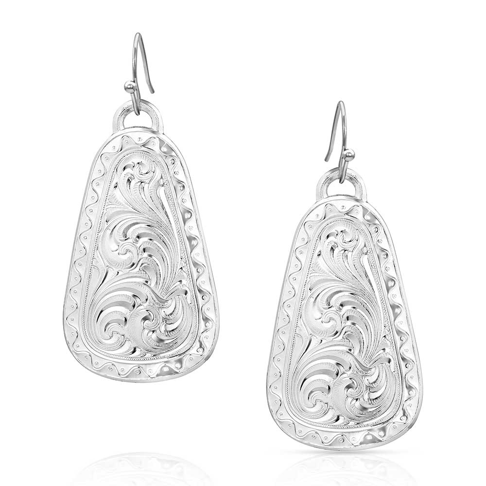 Montana Beauty Within Earrings ER5678