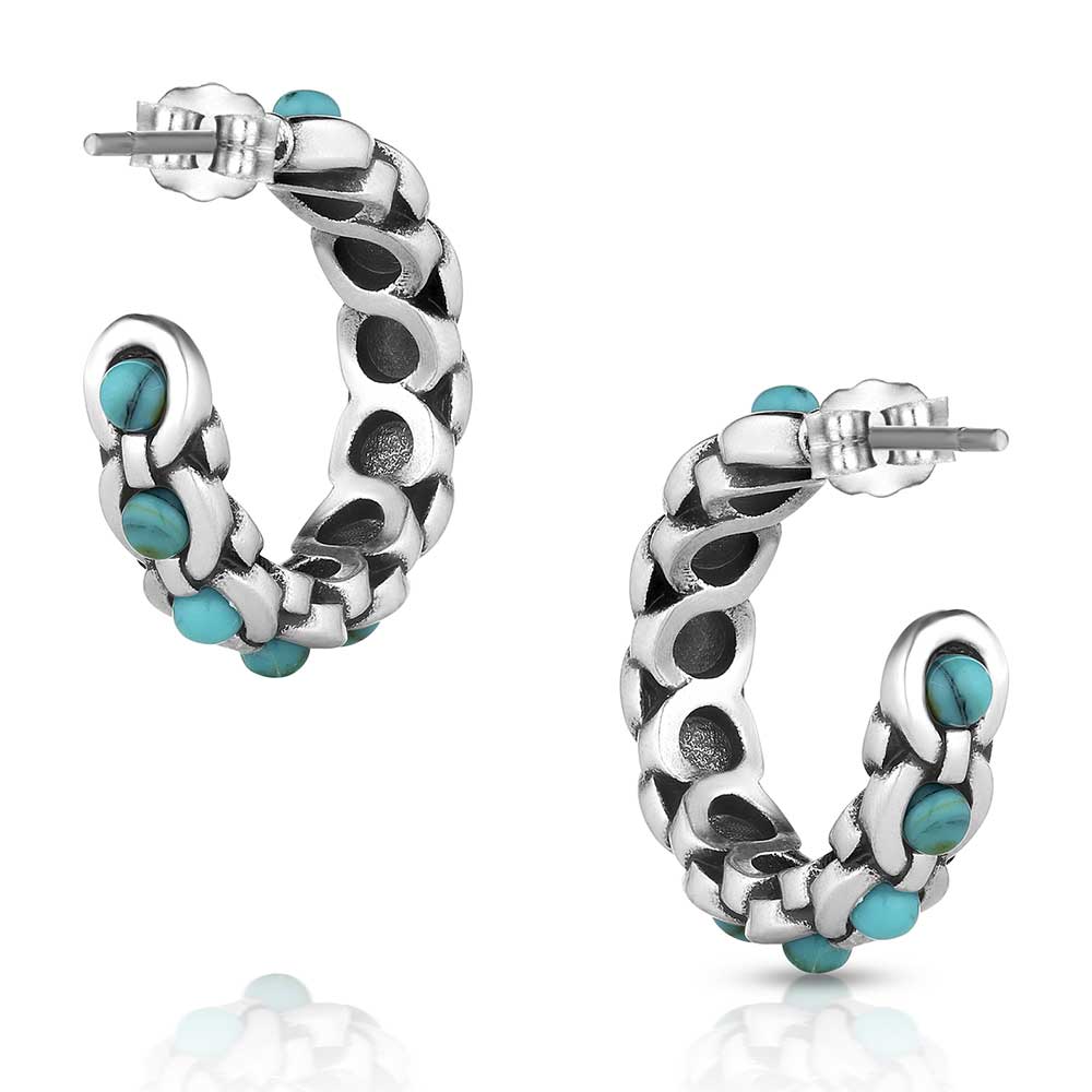 Montana Center of it All Earrings ER5853