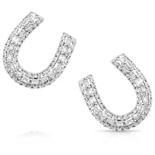 Cargar imagen en el visor de la galería, Montana Frosted Luck Crystal Earrings ER5967
