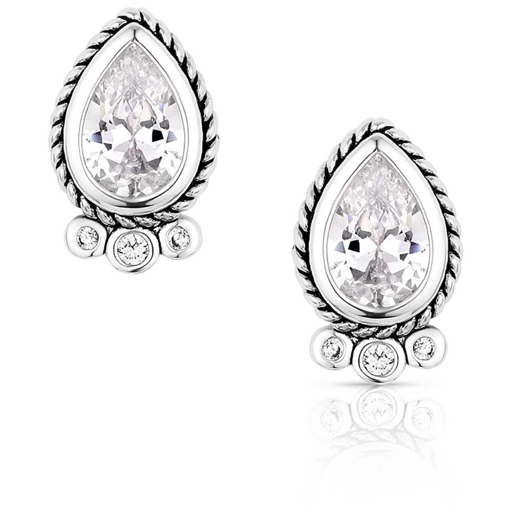 Montana Angel Joy Earrings ER6100