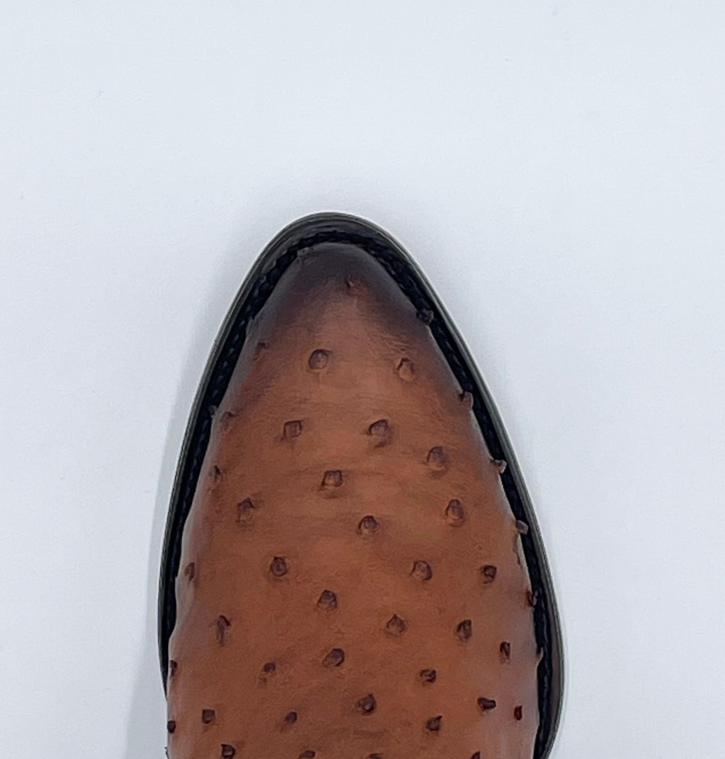 Bota Cuadra Semi Oval Ostrich 2C1OA1 - Flame Miel