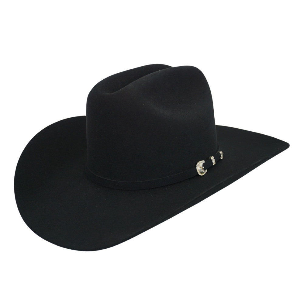 Stetson 10x Shasta Felt Hat 4