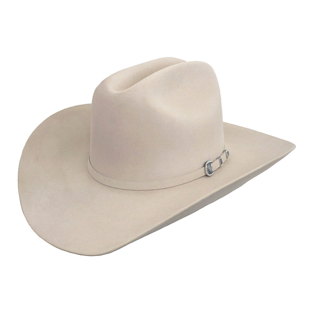 Stetson 10x Shasta Felt Hat 4" Brim - Silverbelly